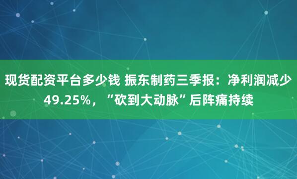 现货配资平台多少钱 振东制药三季报：净利润减少49.25%，“砍到大动脉”后阵痛持续