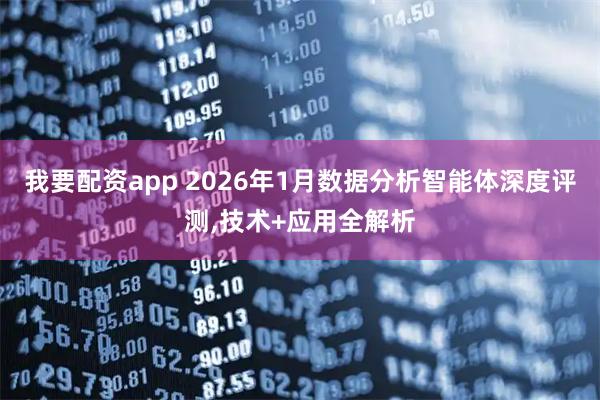 我要配资app 2026年1月数据分析智能体深度评测,技术+应用全解析