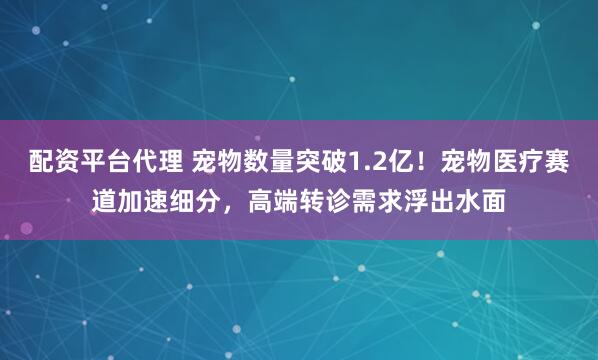 配资平台代理 宠物数量突破1.2亿！宠物医疗赛道加速细分，高端转诊需求浮出水面