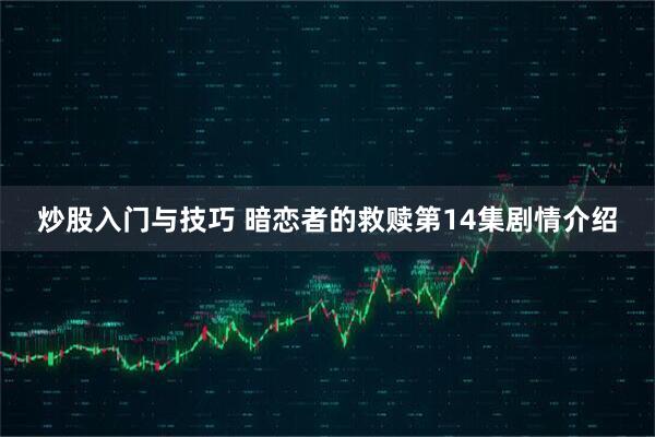 炒股入门与技巧 暗恋者的救赎第14集剧情介绍