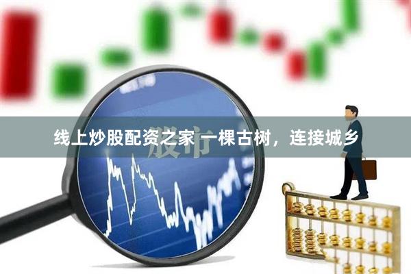 线上炒股配资之家 一棵古树，连接城乡