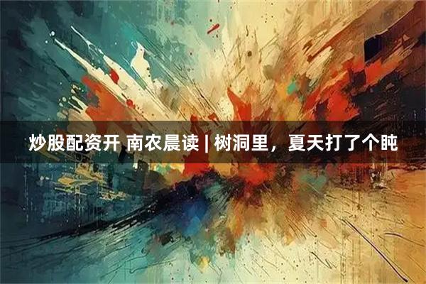 炒股配资开 南农晨读 | 树洞里，夏天打了个盹